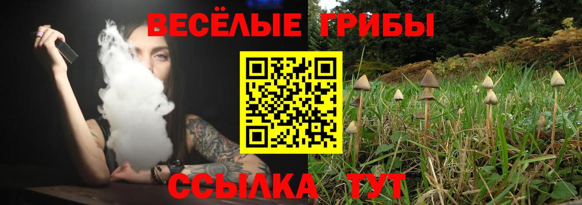 Меф мяу мяу Каменка