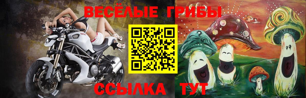 Каменка  Галлюциногенные грибы ЛСД  Галлюциногенные грибы Cubensis  наркотики  Вход с VPN 